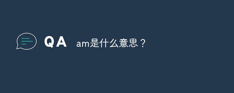 am是什么意思？