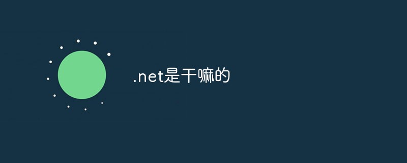 .net是干嘛的