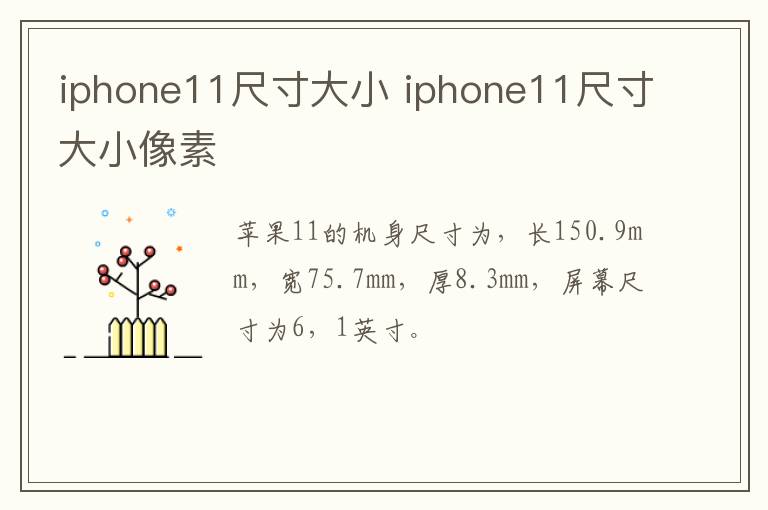 iphone11尺寸大小？iphone11尺寸大小像素