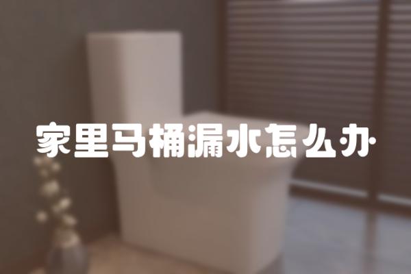 家里马桶漏水怎么办