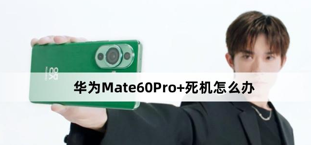 华为Mate60Pro+死机解决方法介绍-华为Mate60Pro+死机怎么办