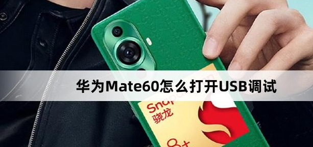 华为Mate60打开USB调试方法介绍-华为Mate60怎么打开USB调试