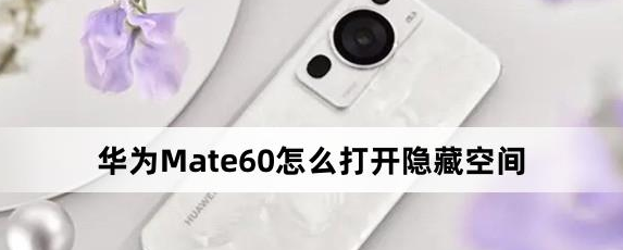 华为Mate60打开隐藏空间方法介绍-华为Mate60怎么打开隐藏空间