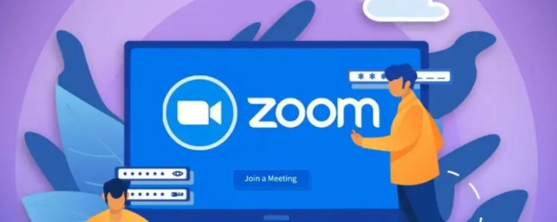 zoom是什么软件